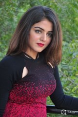 Wamiqa Gabbi at Bhale Manchi Roju Movie Press Meet